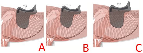https://www.mdpi.com/animals/animals-09-00842/article_deploy/html/images/animals-09-00842-g010-550.jpg
